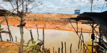 Penimbunan Mangrove, Bencana Ekologis Menanti dan Hancurnya Ekosistem Pesisir di Bintan