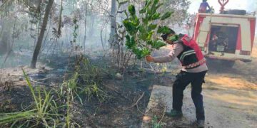 Hangus Satu Hektar, Polisi Selidiki Pemicu Kebakaran Lahan di Kampung Bugis