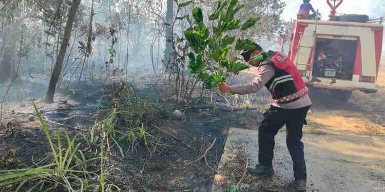 Hangus Satu Hektar, Polisi Selidiki Pemicu Kebakaran Lahan di Kampung Bugis