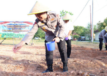 Sulap Lapangan Tembak Jadi Lahan Pertanian, Polda Kepri Tanam Jagung Serentak