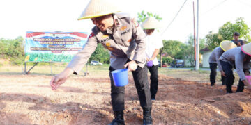 Sulap Lapangan Tembak Jadi Lahan Pertanian, Polda Kepri Tanam Jagung Serentak