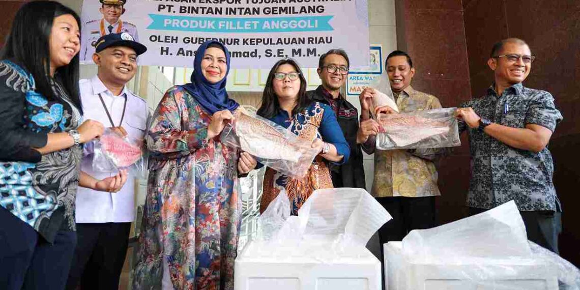 Tembus Pasar Sydney, Nelayan Kepri Pasok Ratusan Kilo Fillet Ikan Anggoli