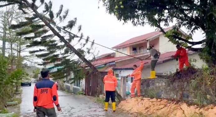 Tim Gabungan Berjibaku Evakuasi Pohon Tumbang Berkat Cuaca Ekstrem di Tanjungpinang