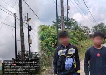 Premanisme Bisnis di Bintan: Kabel Barelang Group Diduga Disabotase Oknum Teknisi Kompetitor