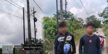 Premanisme Bisnis di Bintan: Kabel Barelang Group Diduga Disabotase Oknum Teknisi Kompetitor