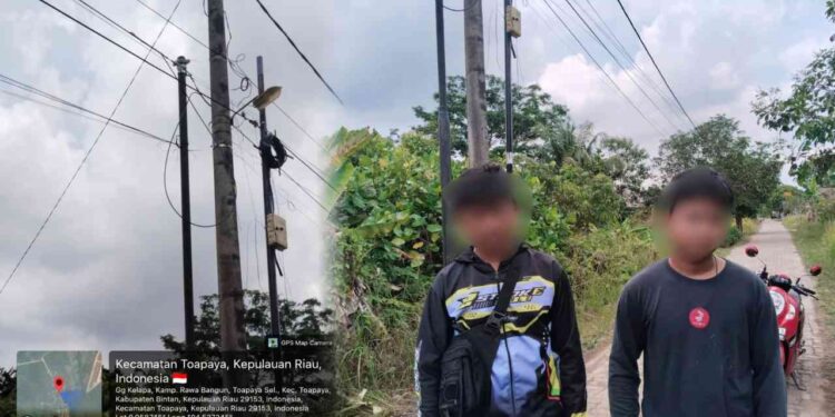 Premanisme Bisnis di Bintan: Kabel Barelang Group Diduga Disabotase Oknum Teknisi Kompetitor