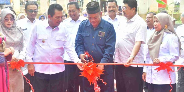 Kepri Gelontorkan Rp100 Miliar untuk Revitalisasi Sekolah