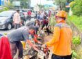 Pohon Tumbang Tutup Jalan Km 10, Dua Pengendara Luka Ringan