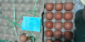 Beli Telur Berbelatung di Swalayan Mahkota Tanjungpinang, Konsumen Kecewa Berat