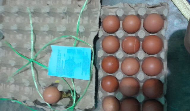 Beli Telur Berbelatung di Swalayan Mahkota Tanjungpinang, Konsumen Kecewa Berat