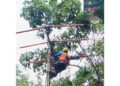PLN ULP Dabo Pasang Pengaman Jaringan, Antisipasi Gangguan Akibat Hewan