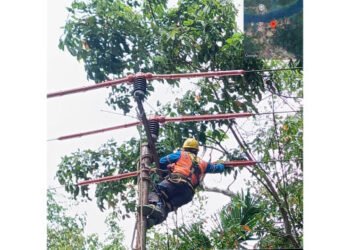 PLN ULP Dabo Pasang Pengaman Jaringan, Antisipasi Gangguan Akibat Hewan