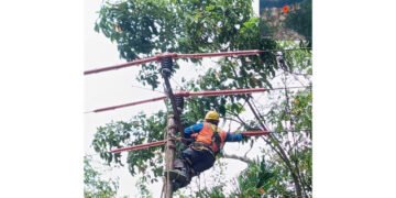 PLN ULP Dabo Pasang Pengaman Jaringan, Antisipasi Gangguan Akibat Hewan
