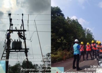 PLN Dabo Singkep melakukan pemeliharaan jaringan listrik di Lingga Timur untuk menjaga keandalan pasokan listrik masyarakat.