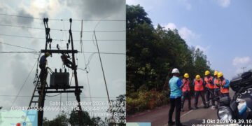 PLN Dabo Singkep melakukan pemeliharaan jaringan listrik di Lingga Timur untuk menjaga keandalan pasokan listrik masyarakat.