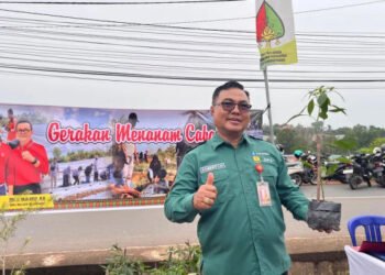 Tanjungpinang menyiapkan 11 hektare lahan cabai di empat kecamatan dengan potensi produksi 36 ton untuk menjaga pasokan dan membantu pengendalian inflasi.