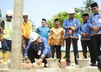 SDN 009 Penyengat Direvitalisasi dengan Anggaran Rp3,3 Miliar